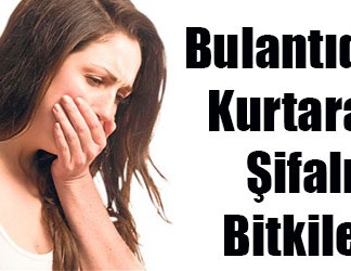Mide Bulantısı ve Çözümleri 2