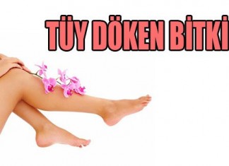 Tüy Dökücü Bitkiler