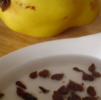 Ayva Çekirdeği Maskeleri