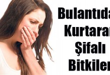 Mide Bulantısı ve Çözümleri 2