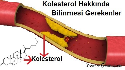 Kolestrol Hakkında Bilinmeyenler 11