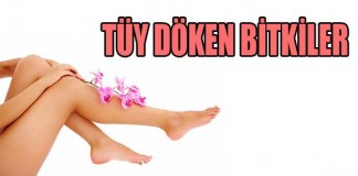 Tüy Dökücü Bitkiler