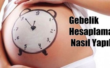 Gebelik Hesaplama