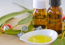 Okaliptus Yağı Okaliptus Yağı Nedir?Ne İşe Yarar?