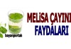 Melisa Çayı Faydaları