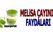 Melisa Çayı Faydaları