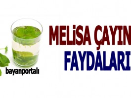 Melisa Çayı Faydaları