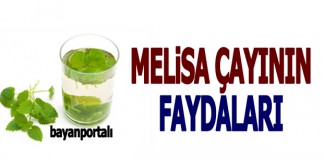 Melisa Çayı Faydaları