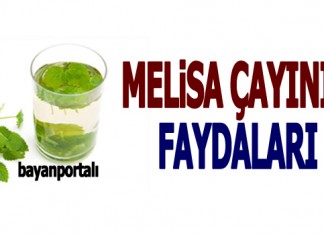 Melisa Çayı Faydaları