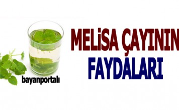 Melisa Çayı Faydaları